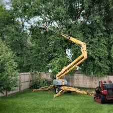 Best Artificial Turf Installation  in Cisco, TX