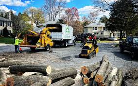 Best Lawn Renovation and Restoration  in Cisco, TX